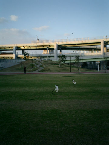 公園.JPG