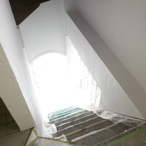 P7140046.jpg